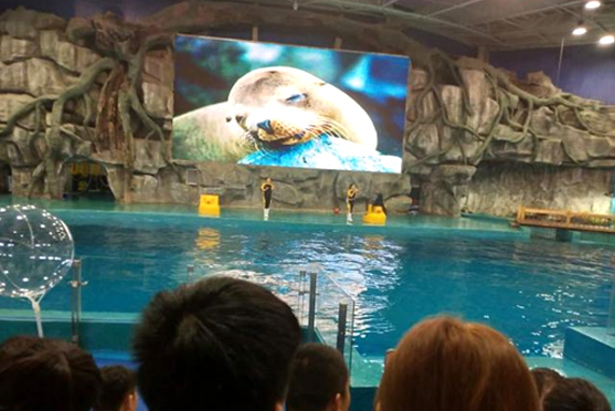 ������k8����Ӯ�ҡ�һ������